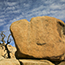 Joshua Tree National Park CA, 2011